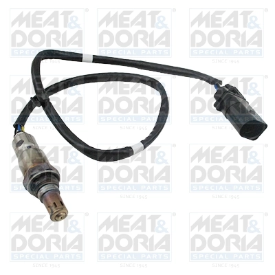 Oxygen Sensor